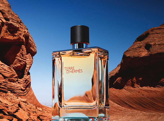 hermes terre d hermes духи 200мл – ezebra.com.ua